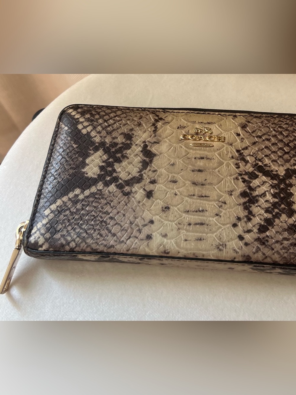 Coach Accordion Zip Wallet in Natural Python-Embossed Leather